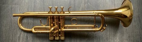 Occasion : Selmer Chorus 80J