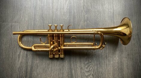 Occasion : Selmer Chorus 80J