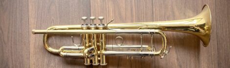 Occasion : Bach Stradivarius Model 72/43